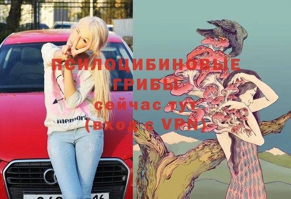 2c-b Абдулино