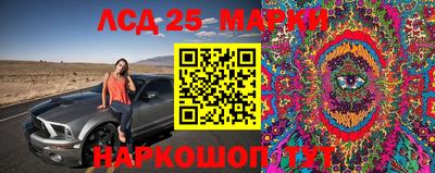 PSILOCYBIN Краснознаменск