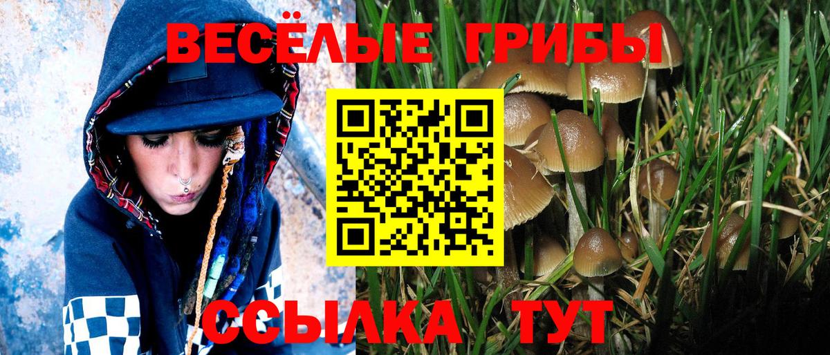наркотики  Галлюциногенные грибы Cubensis  Вход с VPN  Донской 