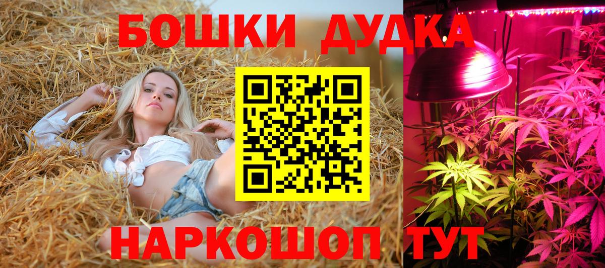 A PVP Донской