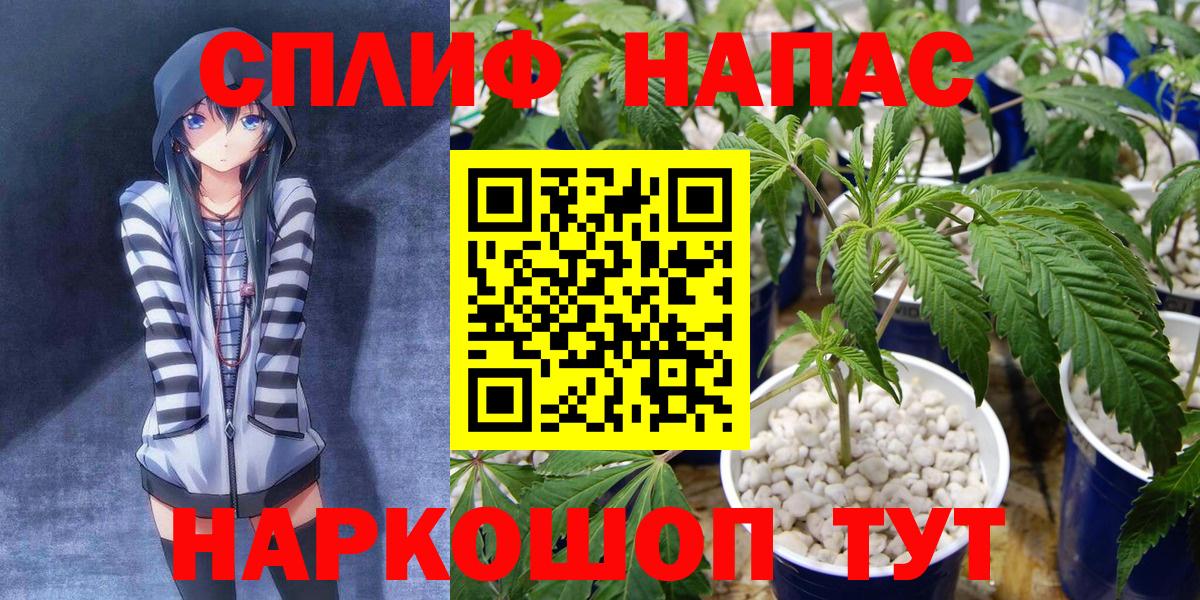 Бошки марихуана OG Kush  Вход с VPN  Донской  Бошки Шишки White Widow  Марихуана LSD WEED 